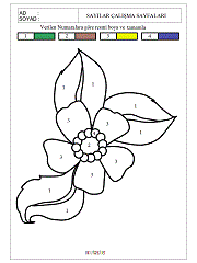okul öncesi verilen sayıya göre boyama çalışmaları